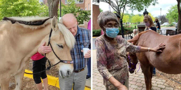 Equine Therapy at Clark